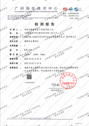 健康养生熏蒸仪