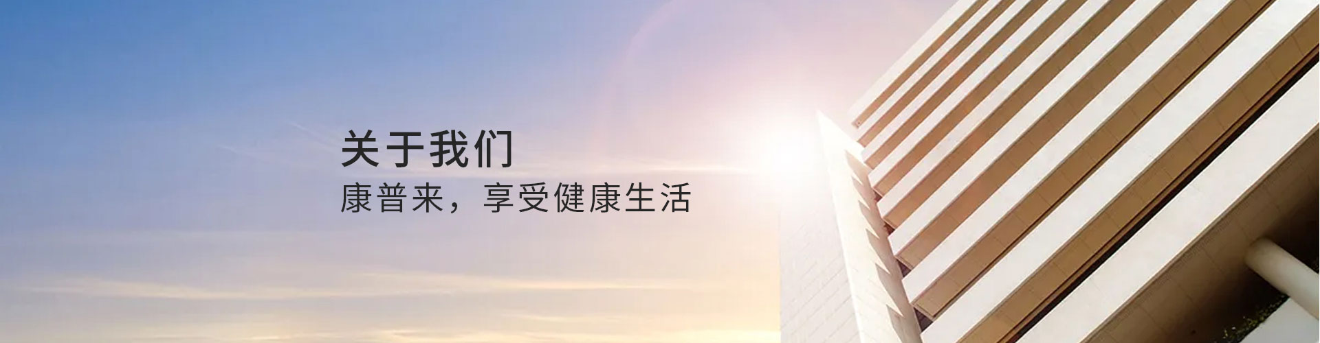 企业荣誉